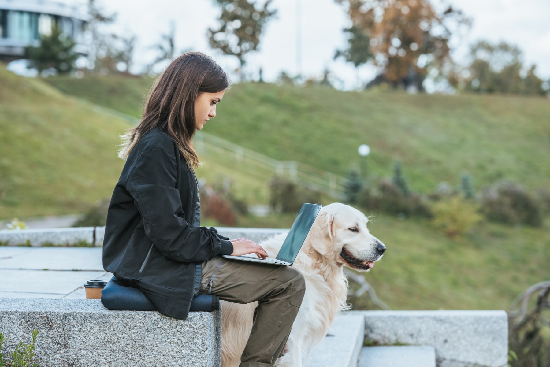 A Woman With A Laptop Computer And A Dog